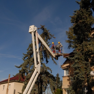 procedure di emergenza di una PLE